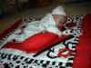 Taylor1mth5.jpg (403468 bytes)
