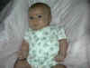 Taylor2mth2.jpg (91148 bytes)