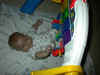 Taylor3mth6.jpg (98316 bytes)